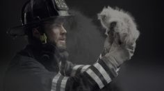 poster-22275-sauza-tequila-fireman-and-kitten-amazingness-236x132