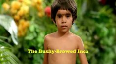 poster-22276-cine-las-americas-shaolin-incas-236x132