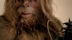 poster-22317-jack-link-s-beef-jerky-conference-call-236x132