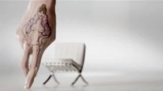 poster-22350-playboy-hands-236x132