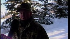 poster-2242-thredbo-station-de-ski-been-there-done-that-236x132