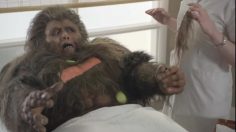 poster-22431-comcast-xfinity-sasquatch-236x132