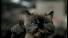 poster-22453-cravendale-epic-straws-236x132