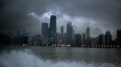 poster-22463-adidas-the-return-of-d-rose-236x132