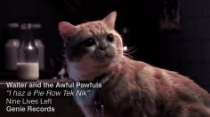 poster-22535-litter-genie-i-haz-a-pie-row-tek-nik-236x132