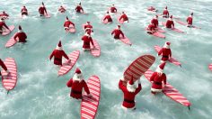 poster-22616-aldi-the-perfect-aussi-christmas-236x132