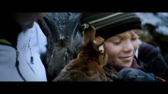 poster-22624-quechua-on-a-tous-besoin-de-chaleur-236x132