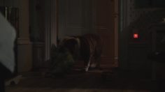 poster-22660-ikea-night-walkers-236x132