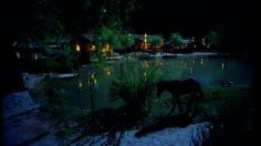 poster-2267-mountain-dew-tigredragon-236x132