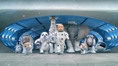 poster-22703-kia-sorento-space-babies-236x132