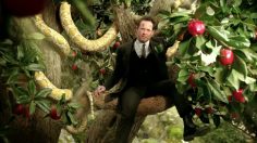 poster-22721-allstate-insurance-mayhem-236x132