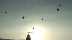 poster-22750-skol-training-236x132