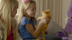 poster-22765-exede-birthday-236x132