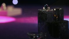 poster-22781-litter-genie-me-luvz-mahselfz-236x132