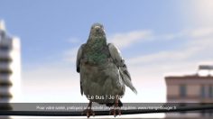 poster-22841-orangina-le-pigeon-malade-236x132