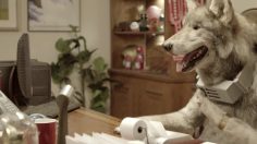 poster-22854-old-spice-meet-the-wolfdog-236x132