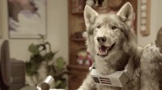 poster-22857-old-spice-wolfdog-needs-a-personal-assistant-236x132