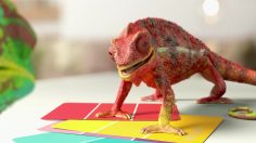 poster-22883-valspar-jon-and-val-236x132