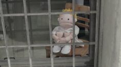 poster-22924-wheat-thins-original-puppet-236x132