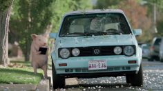 poster-22937-geico-comparison-236x132