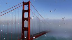 poster-22948-california-lottery-power-ball-snowfall-236x132