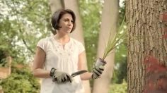 poster-22983-wallmart-summer-rollback-event-legs-236x132