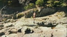 poster-23001-dr-pepper-dr-pepper-ten-hawk-236x132