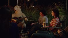 poster-23010-corona-corona-light-guitar-236x132