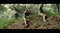 poster-23026-land-rover-roam-free-236x132