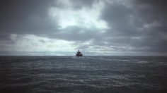 poster-23116-national-geographic-channel-tuna-236x132