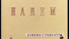 poster-2314-vin-du-postillon-harem-236x132