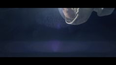 poster-23148-citroen-c4-picasso-the-world-236x132