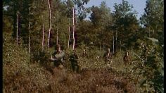 poster-2320-levitan-a-la-chasse-236x132