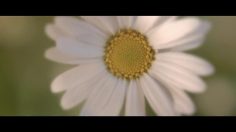 poster-23247-jaeger-lecoultre-reinvent-yourself-236x132