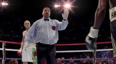 poster-23347-audi-rs6-avant-l-arbitre-236x132