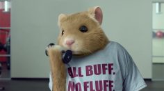 poster-23359-kia-soul-totally-transformed-236x132