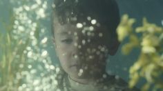 poster-23362-heinz-beanz-little-brother-236x132