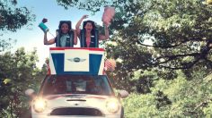 poster-23384-mini-rollercoaster-236x132