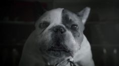 poster-23394-att-digital-life-dog-236x132