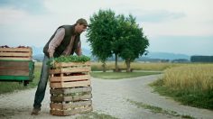 poster-23406-systeme-u-vision-236x132