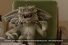 poster-23424-snickers-gremlins-68x45
