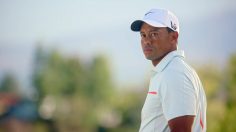 poster-23450-nike-no-cup-is-safe-236x132