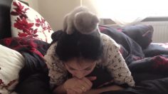 poster-23474-petco-copilots-236x132