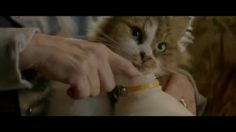 poster-23485-devondale-crazy-cat-lady-236x132