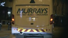 poster-23505-volvo-springboks-detour-236x132