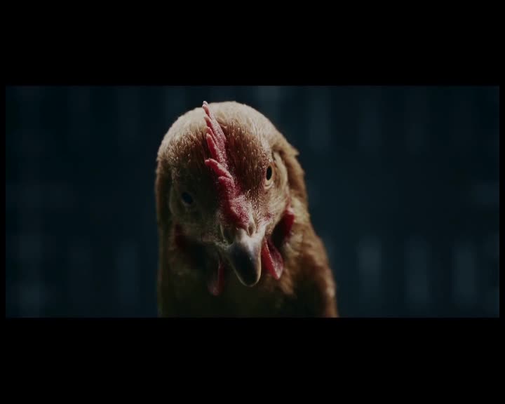 MercedesBenz Magic body control Culture Pub