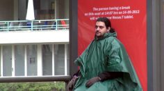 poster-23566-kit-kat-google-android-kit-kat-have-a-seat-236x132