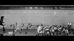 poster-23590-young-director-award-whisper-236x132