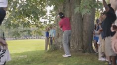 poster-23606-espn-sports-center-dadada-236x132