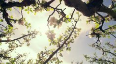 poster-23651-the-climate-reality-project-protection-environnement-what-i-love-236x132